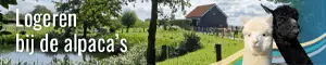 alpaca-camping-aan-de-waterspiegel