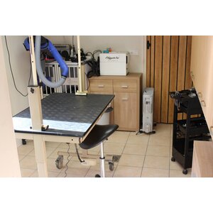 Anoebis Hondentrimsalon logo