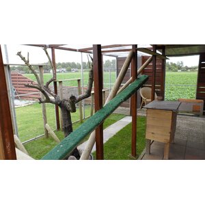 Kattenpension Wieringerwaard logo