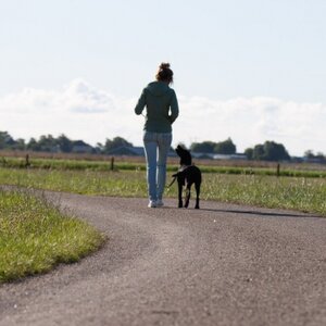 Hondenschool Joy logo