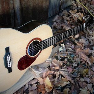 De Haan Guitars image 2