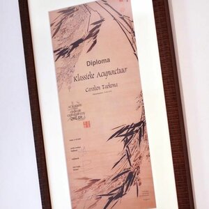 Praktijk Tao image 5