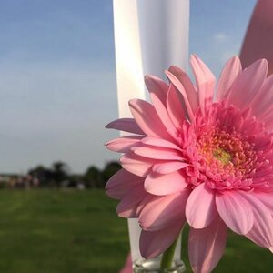 Pimpernel Bloembinderij image 8