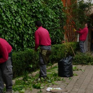 Actieftuinieren image 1