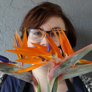 Bloem Diezijn image 5