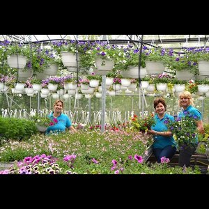 vof Tuincentrum Schoutenbos image 4