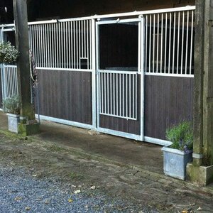 Pensionstal-Stoeterij Sprenkeling image 3