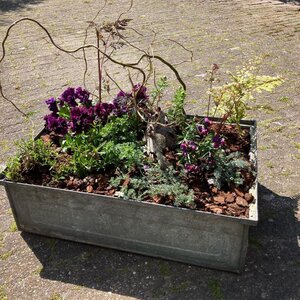 De Vier Seizoenen image 3