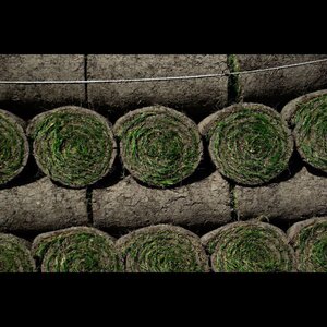 Graszoden Expert image 3