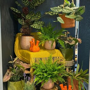 Bloemenwinkel Thuis image 6