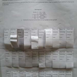 W. Koopman Oefentherapie Mensendieck image 2