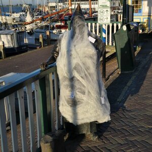 Ongediertebestrijding Volendam Wespvrij image 5