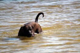 Zomerse temperaturen in Heerhugowaard