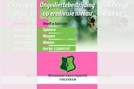 Nieuw middel met uitstekende resultaten tegen spinnen- en wespenoverlast
