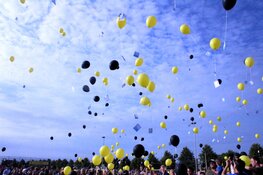 Jubileumjaar Reiger Boys feestelijk geopend