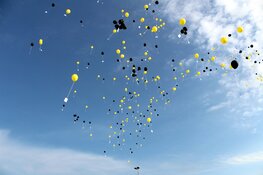 Jubileumjaar Reiger Boys feestelijk geopend