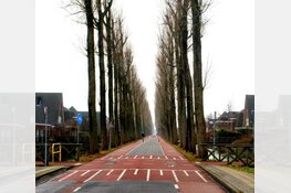 Middenweg-Zuid, van takkentapijt tot fietsstraat