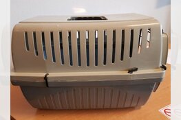 Wie herkent deze Ragdolls?