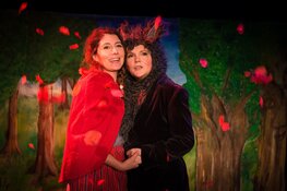 Prentenboeken komen tot leven tijdens Babbels Peuter- & Kleuterfestival bij Cool