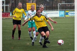 Reiger Boys komt tekort tegen Berkel