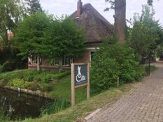 Een waar kattenparadijs bij 5* Kattenhotel In2cats