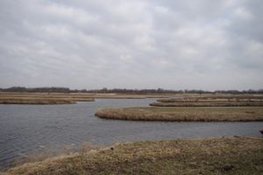Beroepsvisser gaat rivierkreeftenplaag in Oosterdelgebied bestrijden
