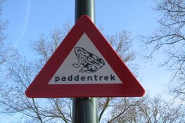 Let op, ‘gele en oranje hesjes’ beschermen trekkende padden