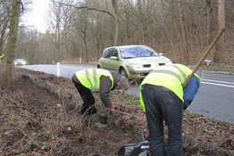 Let op, ‘gele en oranje hesjes’ beschermen trekkende padden