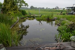 Cursus vijvers houden bij Hugo Aqua te Heerhugowaard
