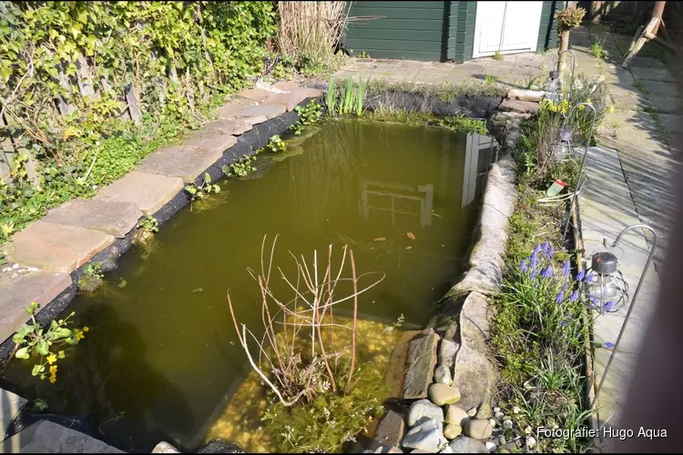 Wie geniet er nu niet van een tuinvijver?