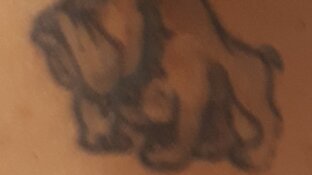 Politie zoekt identiteit van 'niet aanspreekbare' man in Broek op Langedijk