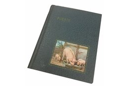 Tentoonstelling van poëziealbums