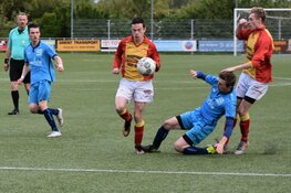 WMC heeft geen antwoord op scoringsdrift Strandvogels