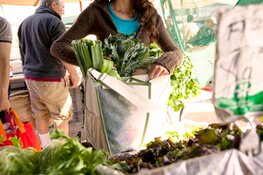 Biologische boerenmarkt Geestmerambacht op zat. 15 juni