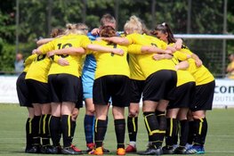 Doek valt voor Reiger Boys VR1...of toch niet (Update 13-06)