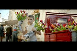 Zinderende zomer-activiteiten voor alle Waardse senioren