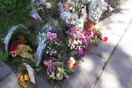 Bloemenzee voor Ilayda (15) groeit gestaag