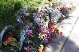 Verongelukte Ilayda (15) krijgt monument langs Heerhugowaardse weg