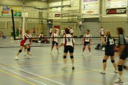 Ardea Volleybal bestaat 25 jaar: 24 augustus feest op Strand van Luna