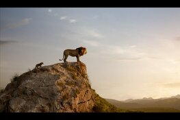 Speciale “prikkelvrije” voorstelling van The Lion King bij Vue Heerhugowaard
