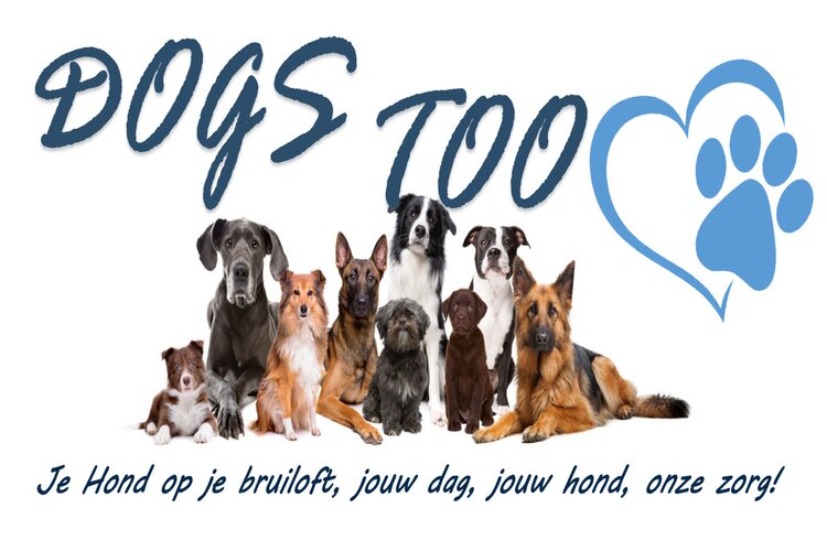 Zin in een dag vol plezier voor hond en baas?