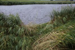 Auto te water in Oterleek