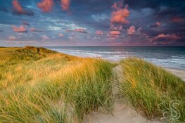 Aan zee! Ode aan de Nederlandse kust