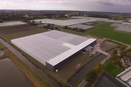 Gootjes AllPllant BV krijgt duurzame warmte van HVC