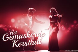 Gemaskerd Kerstbal in Kompleks