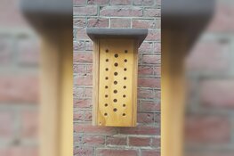 Bijenhotels voor scholen Heerhugowaard