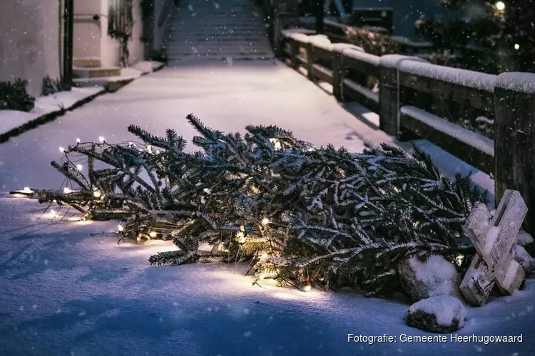 Inzameling kerstbomen vanaf 6 januari