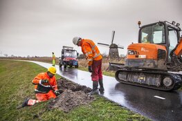 De Westdijk wordt weer groen
