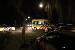 Fietser gewond door overstekende hond