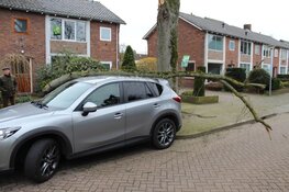 Zondagse storm Ciara houdt Nederland in greep (fotoalbum)